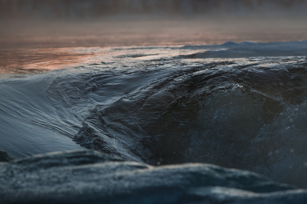 macro shot of body of water