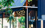 A cozy coffee shop with a modern storefront featuring a large glass window. There is a magnolia tree with large green leaves and a white blossom in the foreground. Warm lights inside the shop create a welcoming atmosphere.