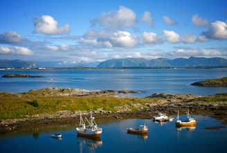 A picturesque inshore saltwater fishing scene with clear blue waters.