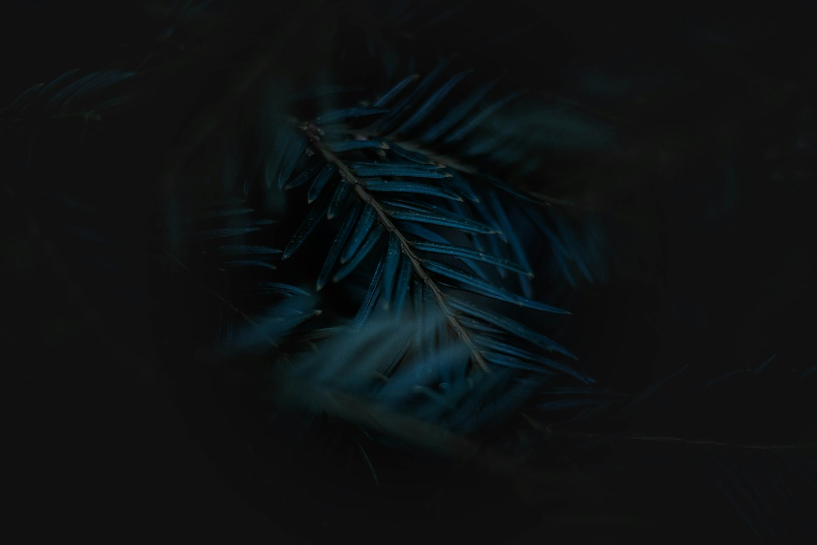 Tablet with quotes on a table