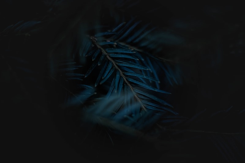 Portfolio 6