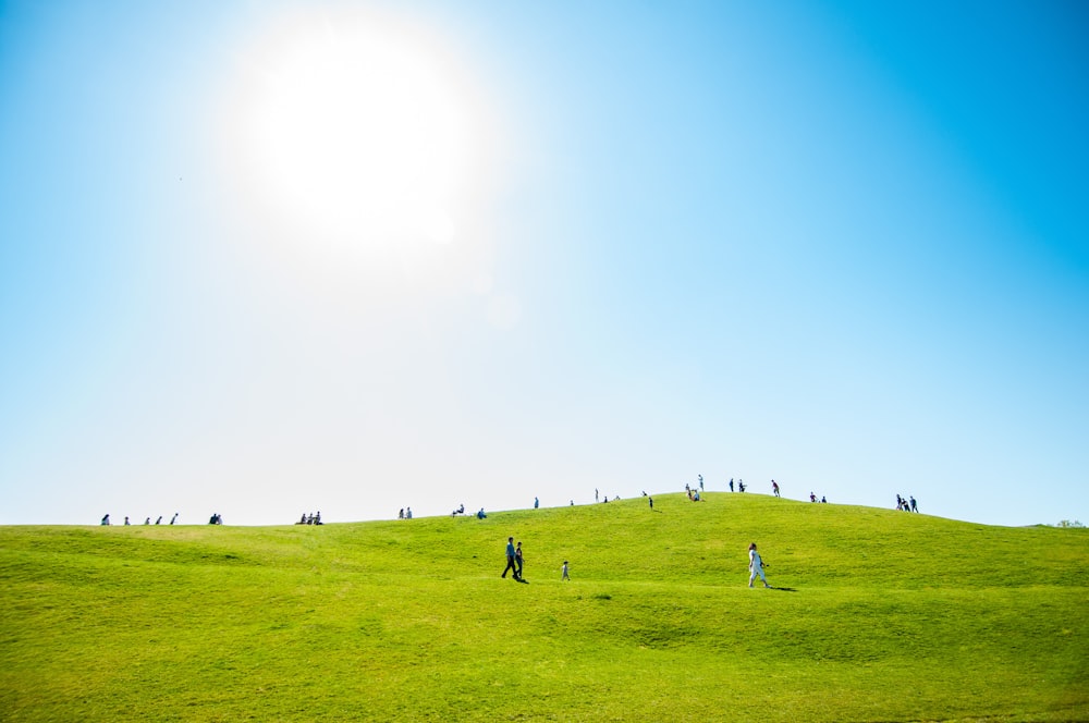 gruppo di persone sul campo verde