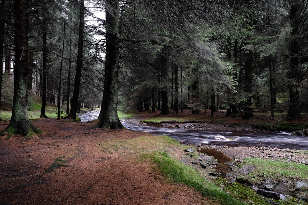 Travel Tips and Stories of Peak District National Park in United Kingdom