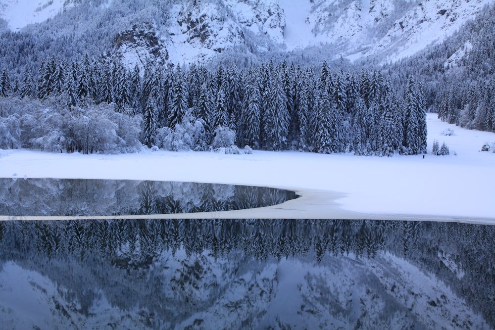 corpo de água perto de terra coberta de neve