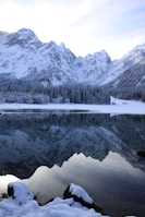 body of water surround by trees with snow during daytime