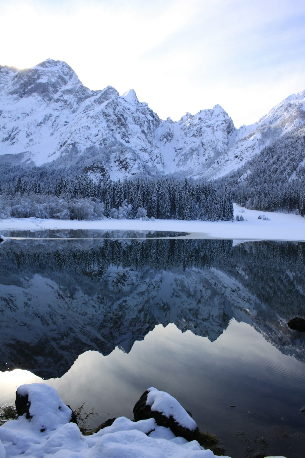 body of water surround by trees with snow during daytime