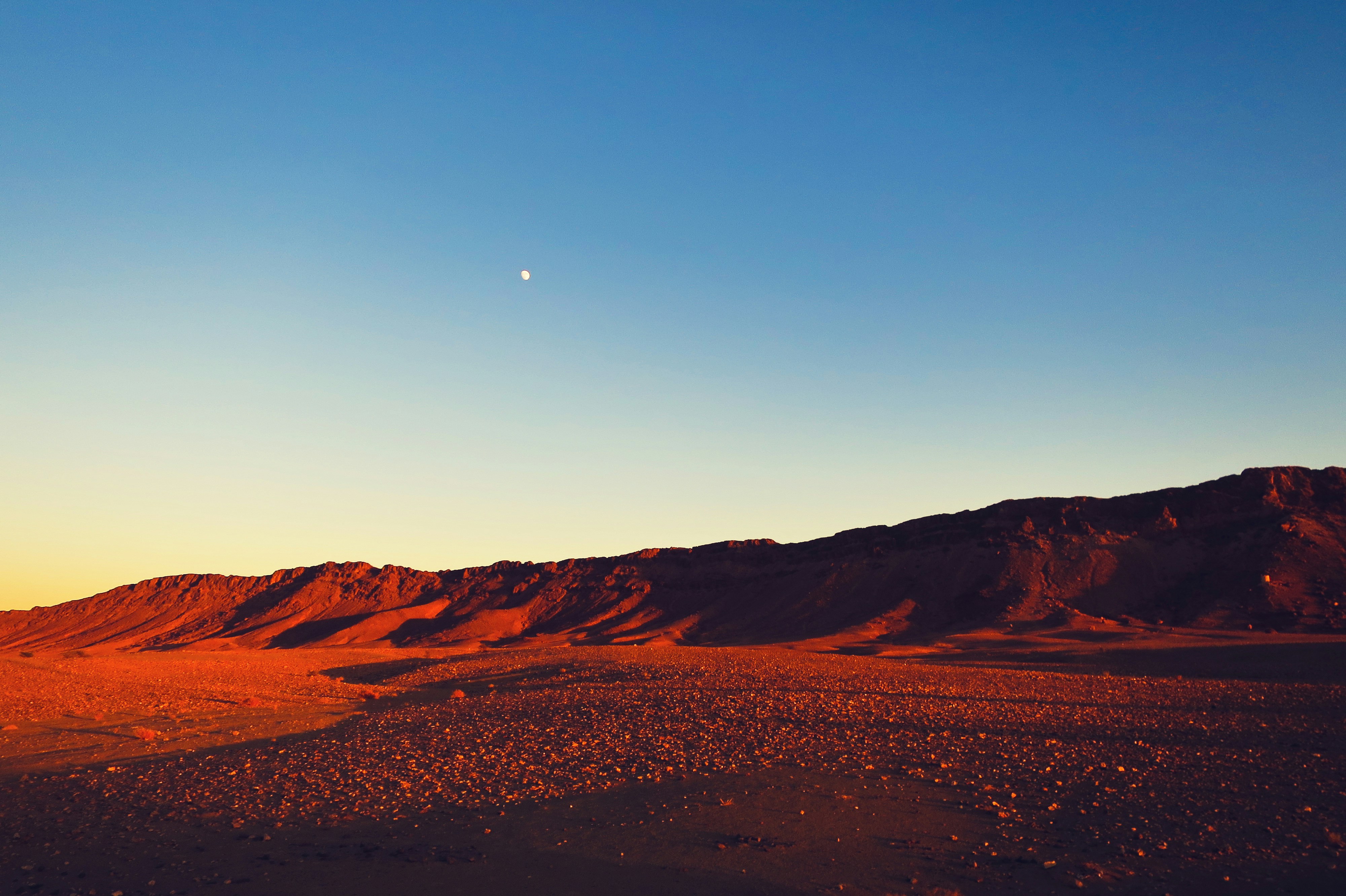 Landscape shot of desert