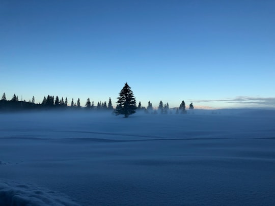 photo of Žabljak Natural landscape near Durmitor Nacionalni Park