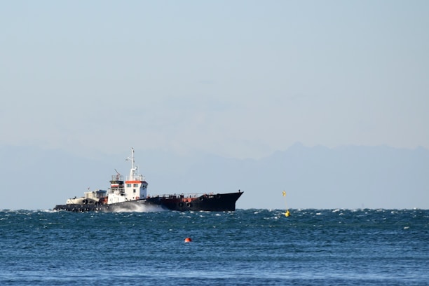 A large cargo ship sailing on a slightly choppy sea, with a distant mountain range visible under a clear sky. The ship appears to be moving steadily across the water, generating small waves along its sides.