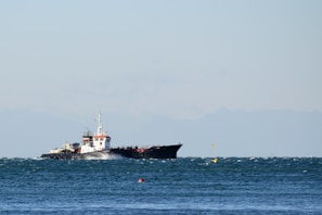 A large cargo ship sailing on a slightly choppy sea, with a distant mountain range visible under a clear sky. The ship appears to be moving steadily across the water, generating small waves along its sides.