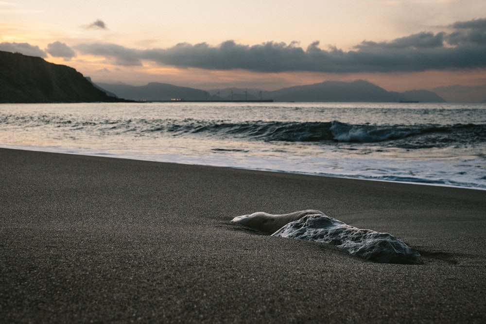 raging waves through shores