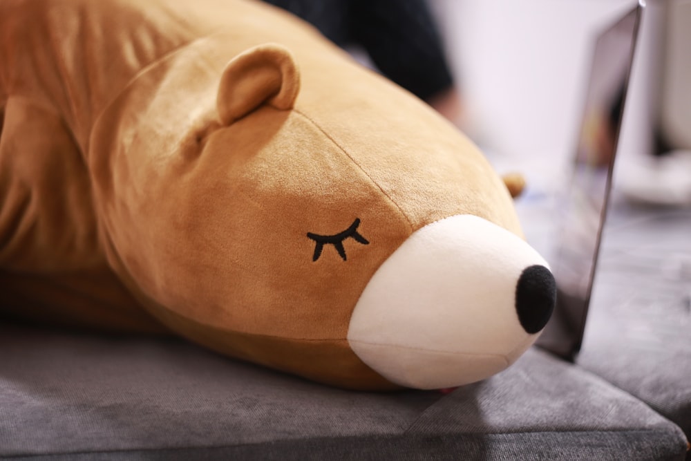 juguete de peluche de oso marrón acostado en tela marrón