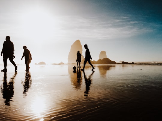 silhouette of people walking body of water in Haystack Rock United States