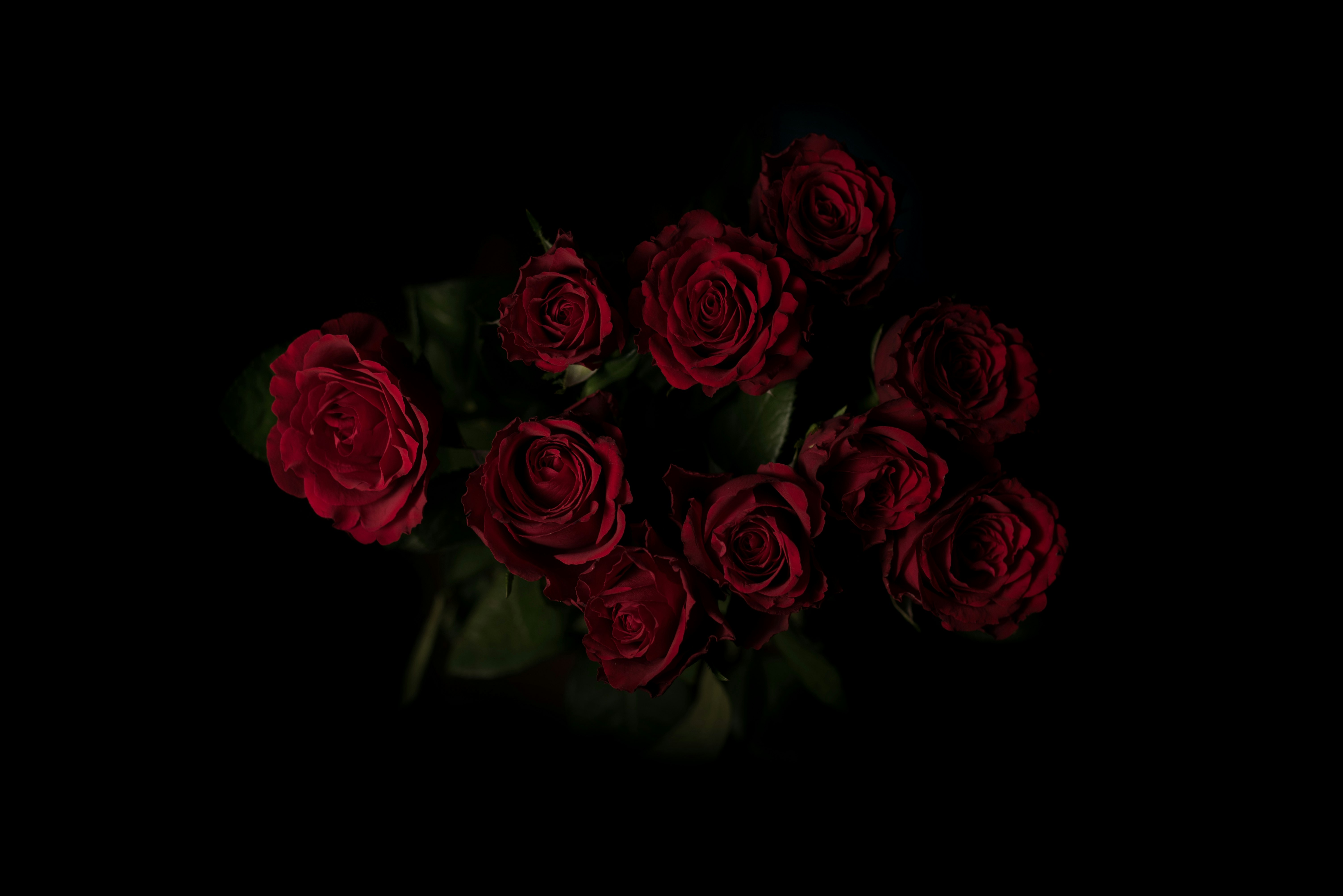 red roses flower arrangement