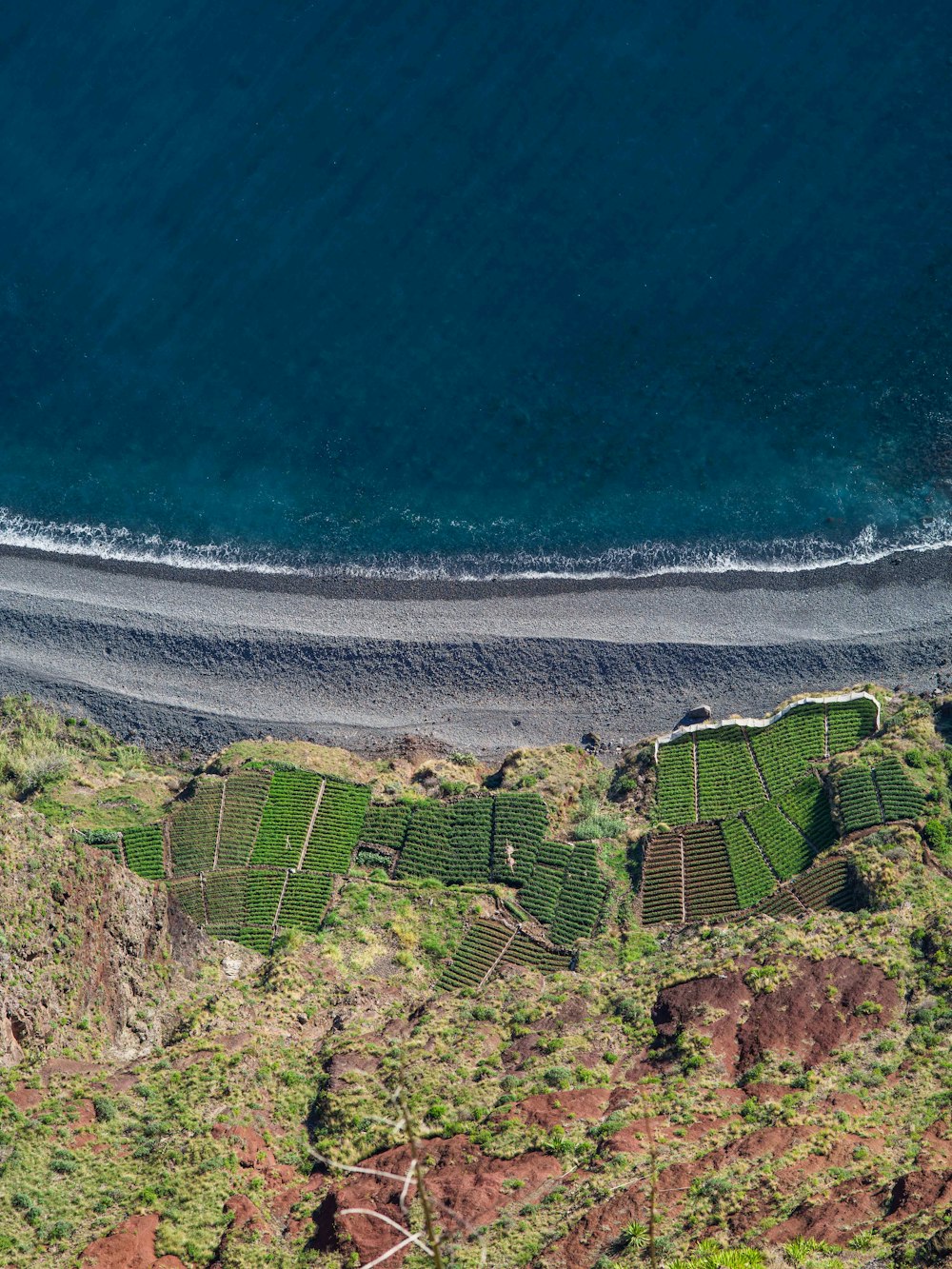 top view of seashore