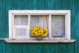 yellow sunflowers on window sill