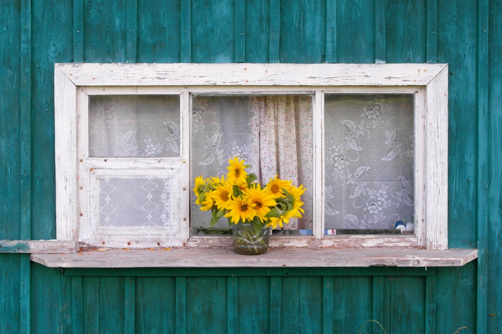 girasoles amarillos en el alféizar de la ventana