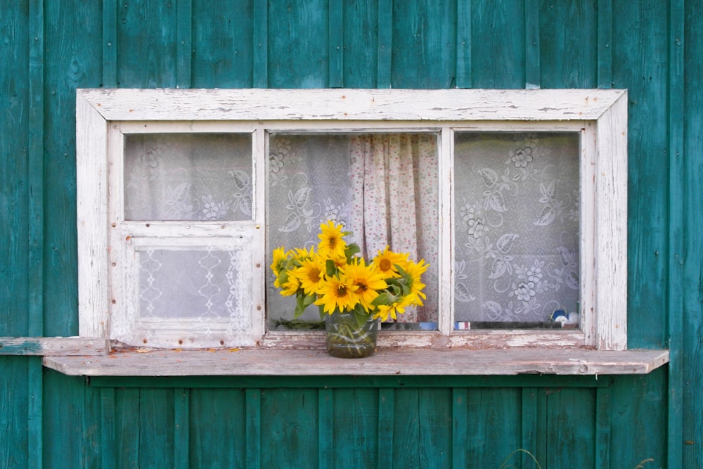 yellow sunflowers on window sill