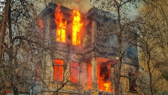 photo of burning house near trees