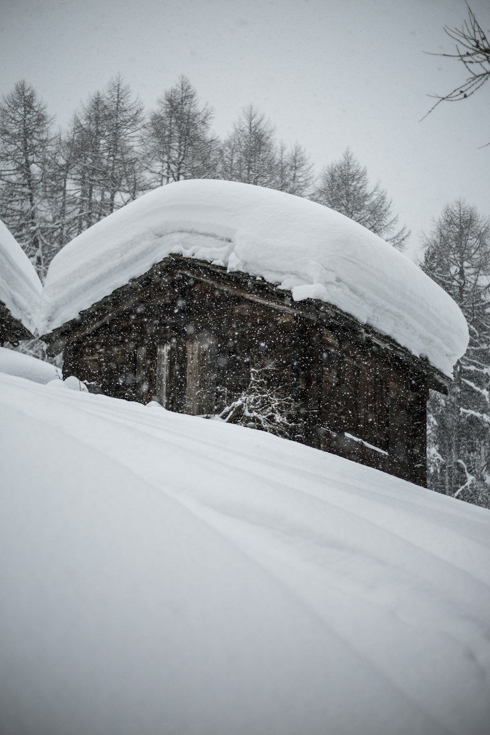 Foto eines schneebedeckten Hauses in der Nähe von Bäumen