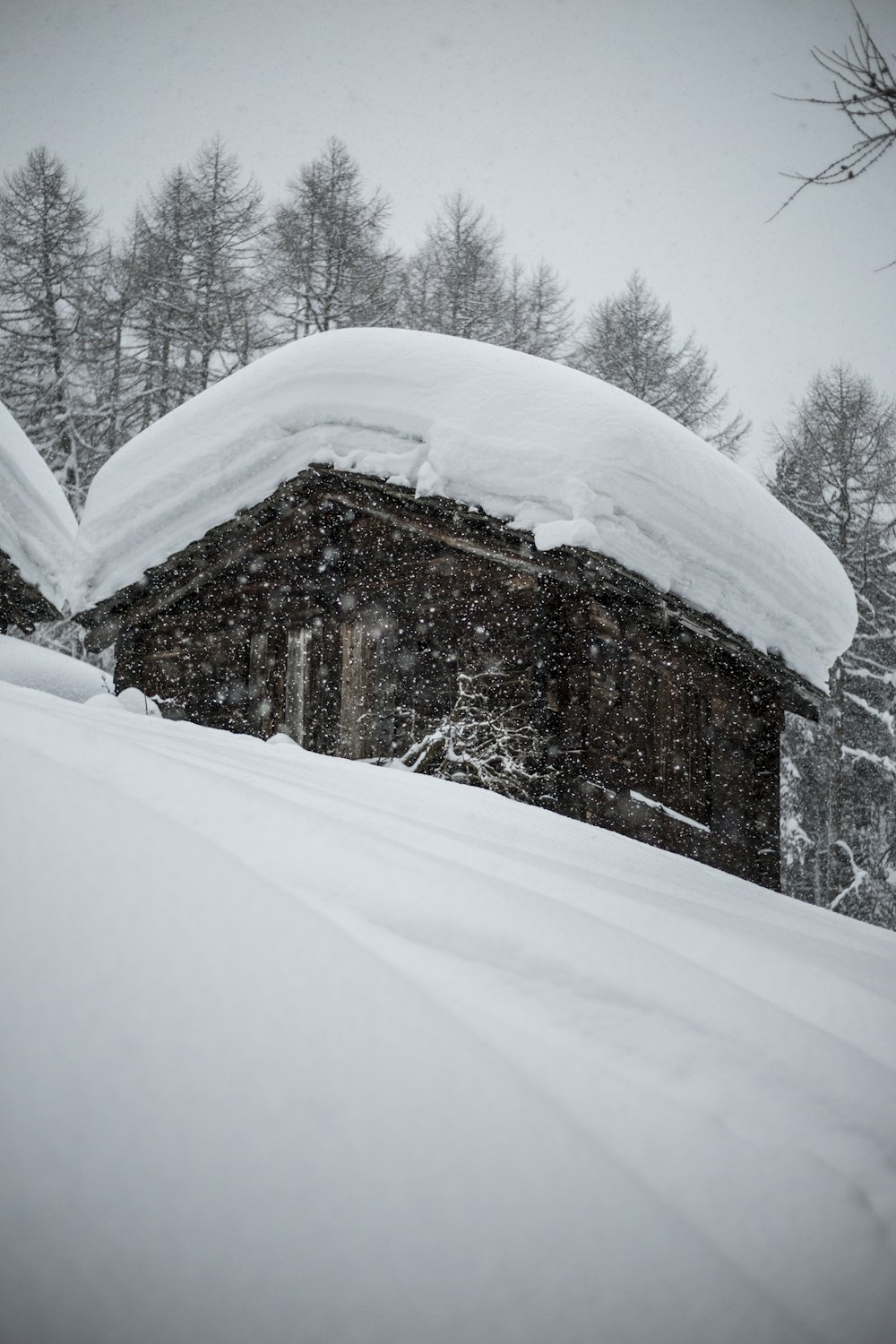 Photo d’une maison enneigée près des arbres