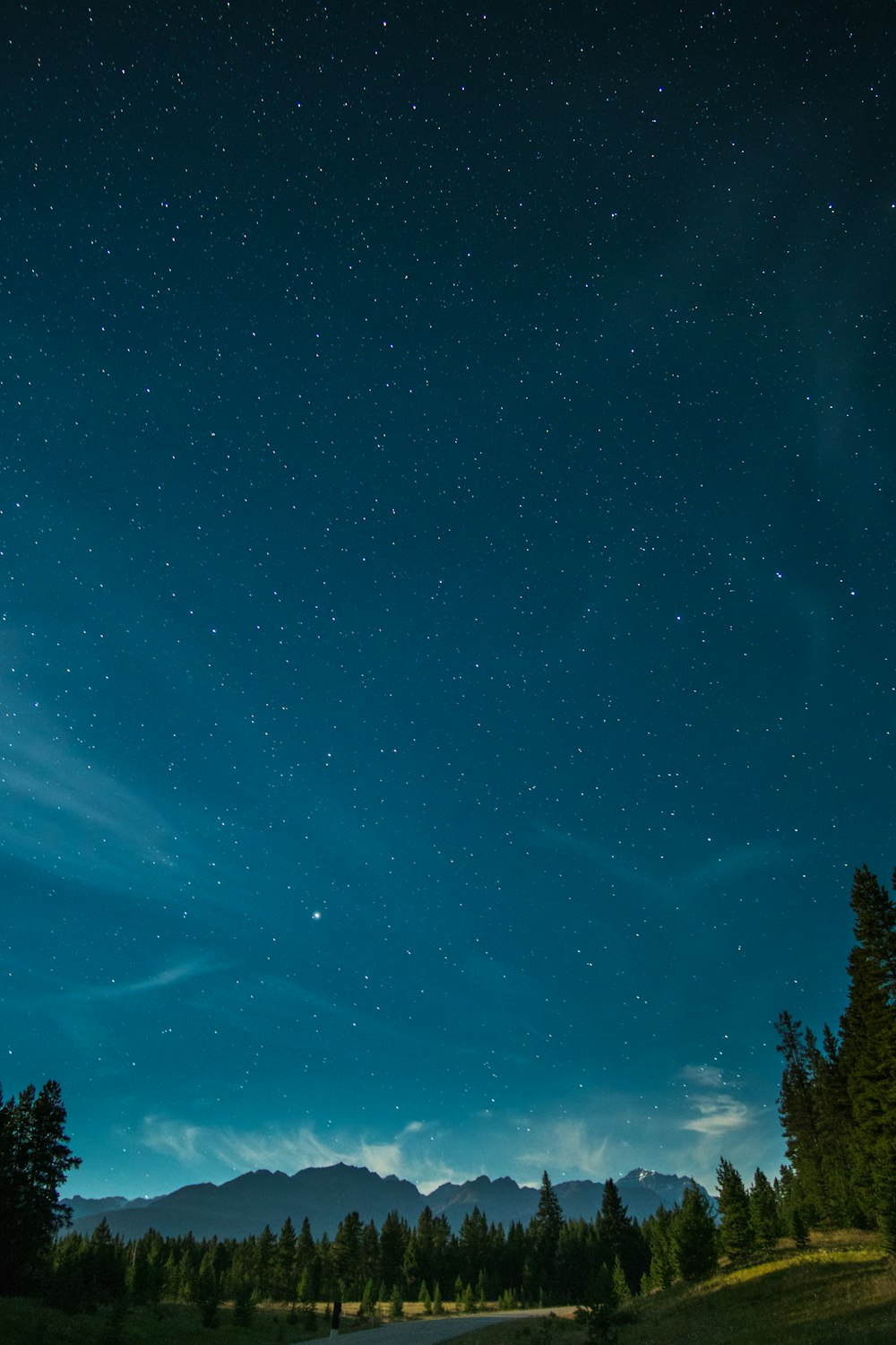 campo coperto di erba e foresta e montagna alla distanza durante la notte