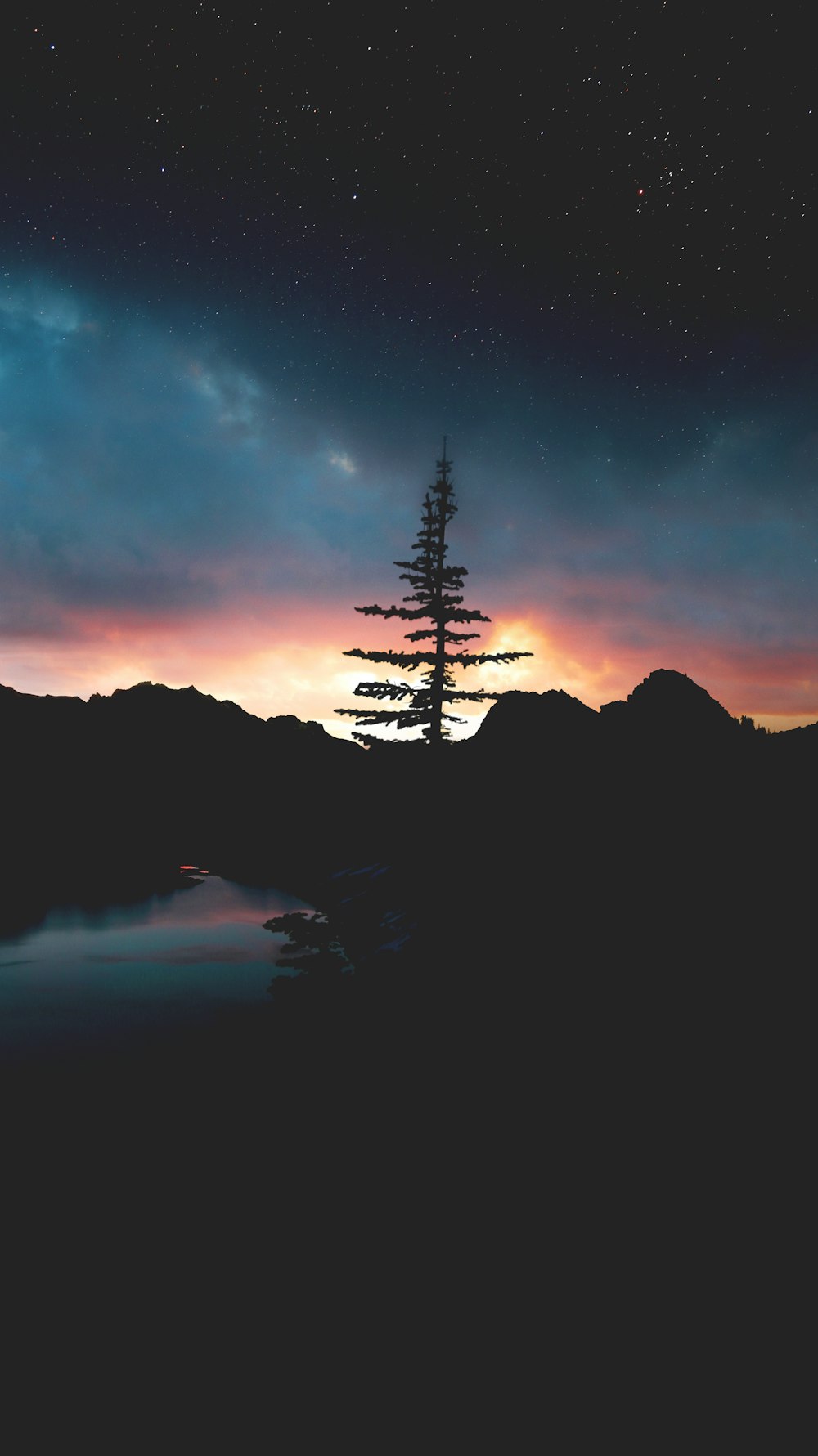 silhouette of tree and mountain