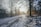 road covered with snow in middle of trees during daytime