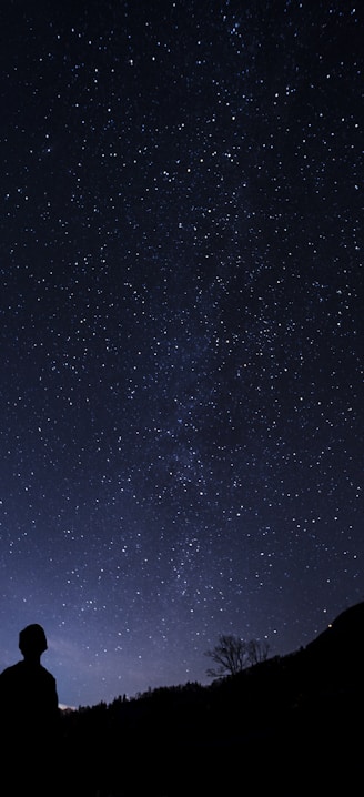 silhouette of man looking at milky way