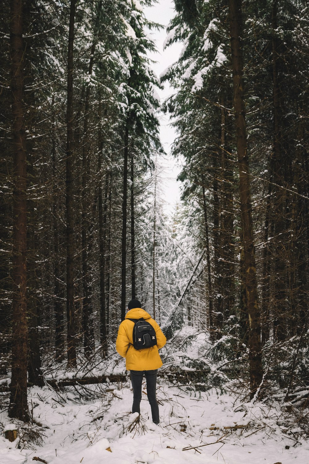 person in yellow bubble jacket and blue jeans in middle of trees