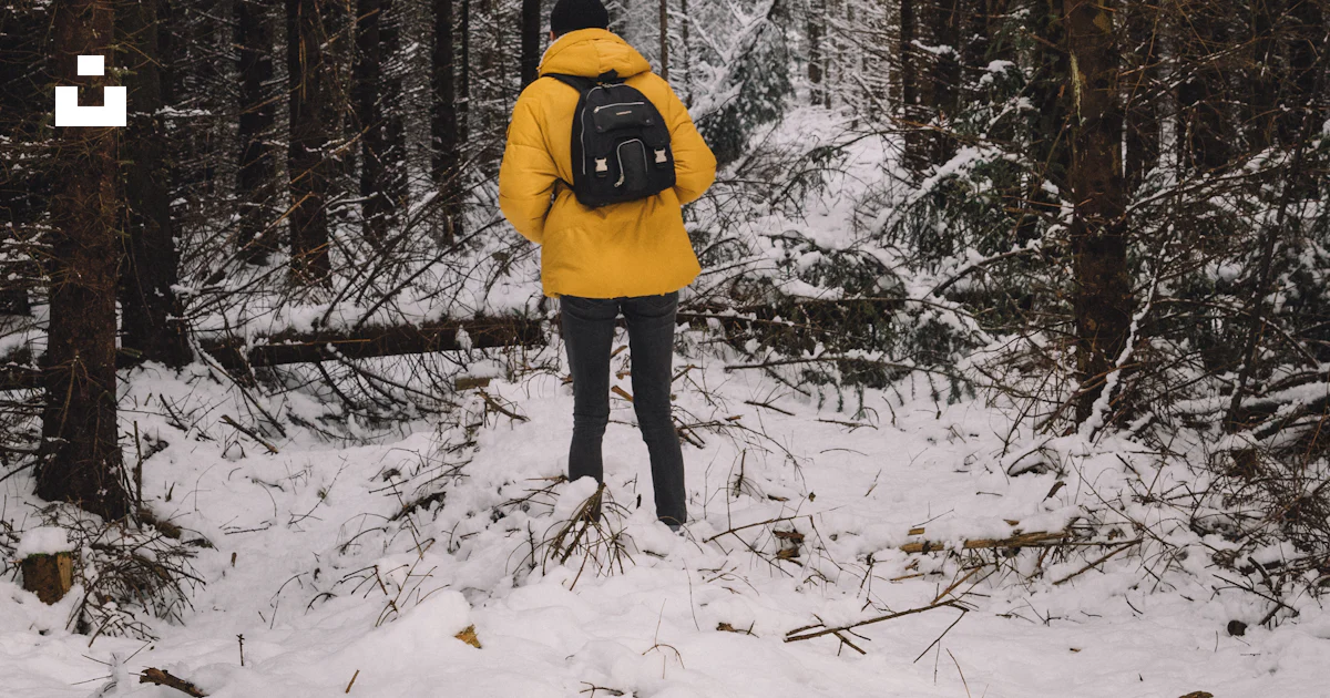 Person in yellow bubble jacket and blue jeans in middle of trees photo ...