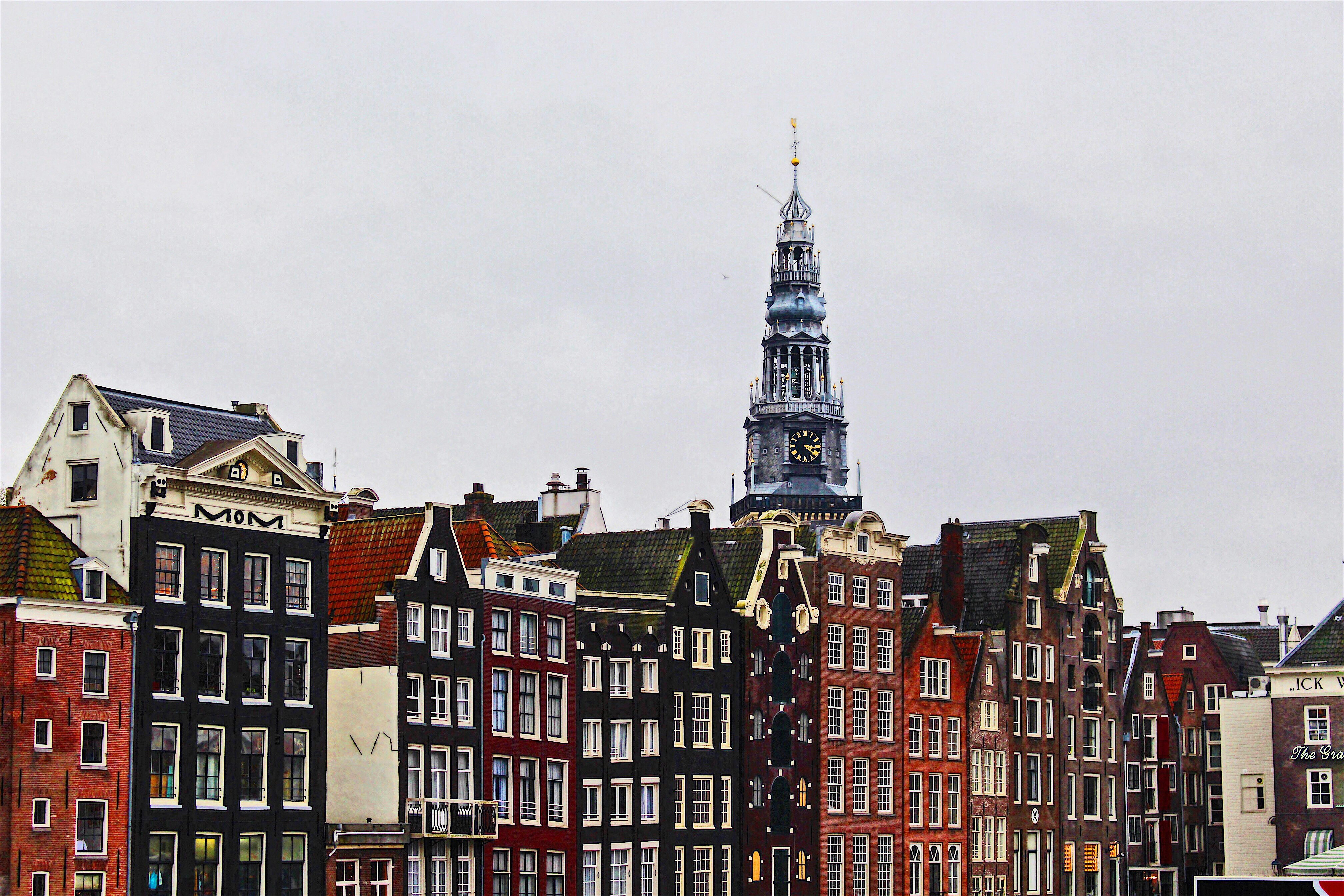 landscape photography of concrete houses