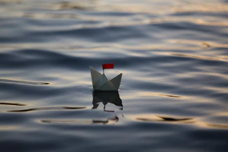 closeup photo of white paper boat