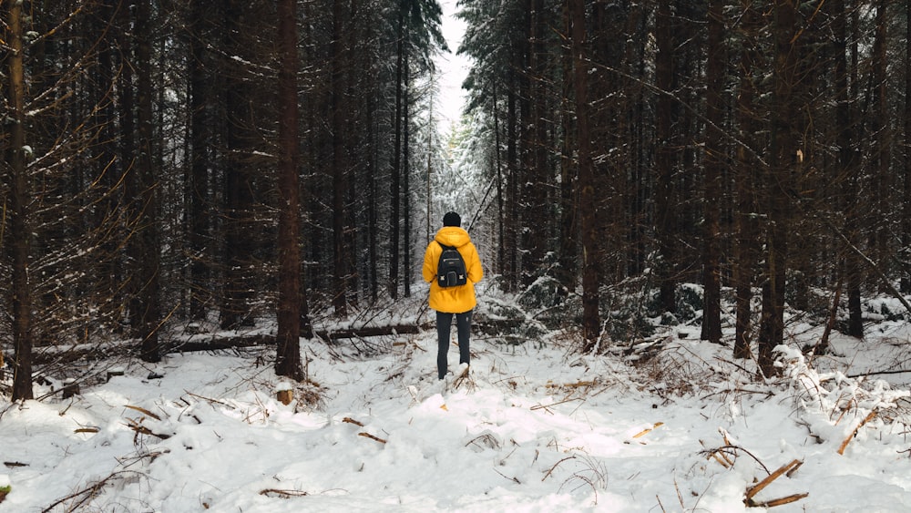 pessoa na jaqueta amarela entre as árvores durante o inverno