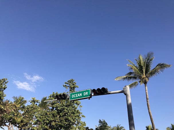 A clear blue sky frames a tropical setting with a tall palm tree and lush greenery. A street sign labeled 'Ocean Dr' is prominently displayed, attached to a traffic light pole.