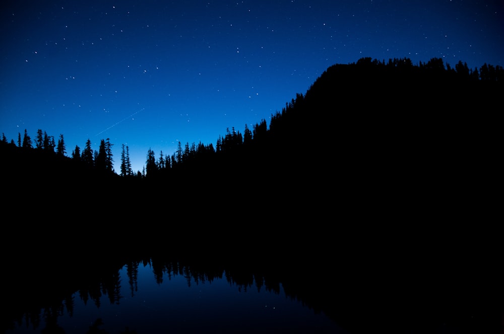 calmo specchio d'acqua che riflette gli alberi