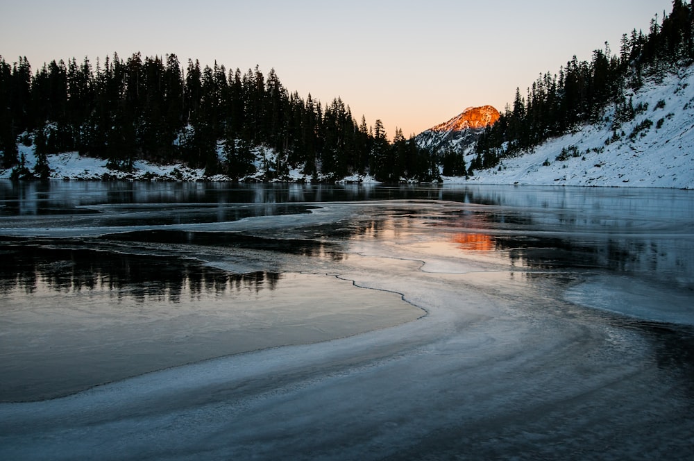 frosted lake during daytime