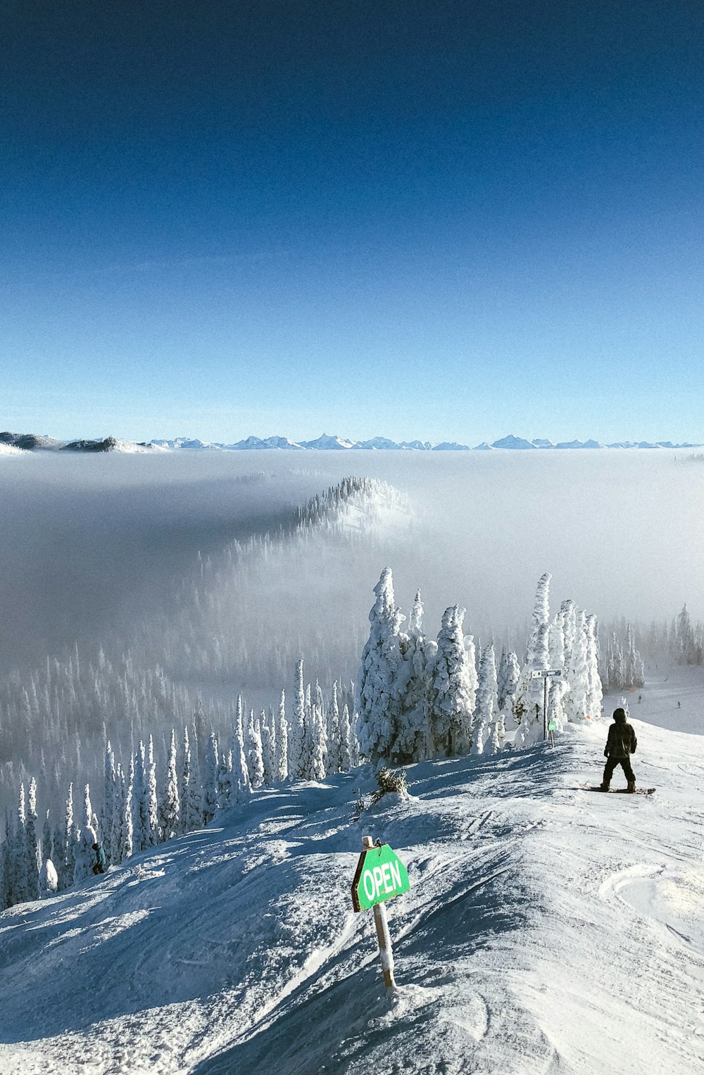 person standing on snow coated mountain