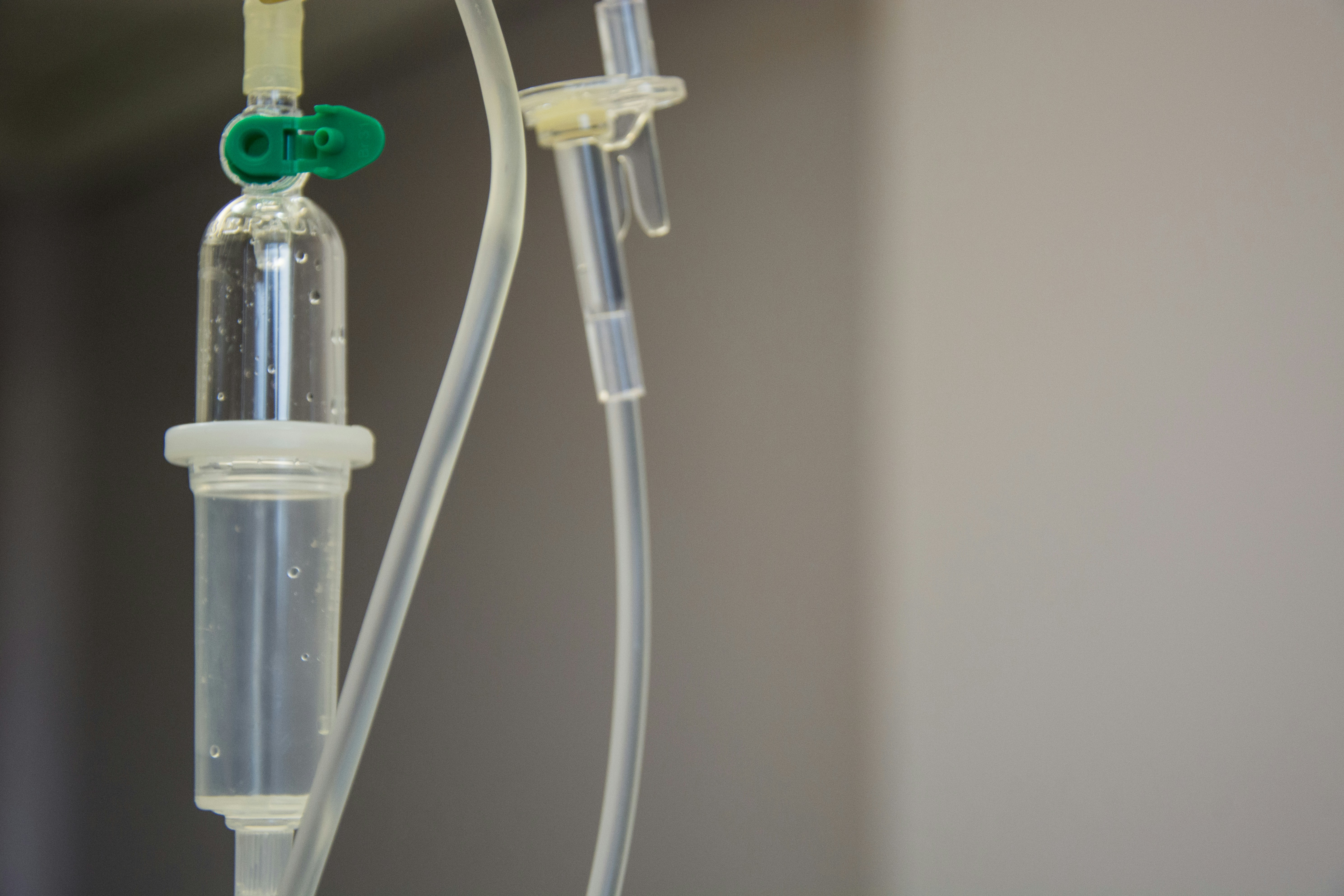 The Link Between Oxalate Intake And Bone Health: What You Need To Know