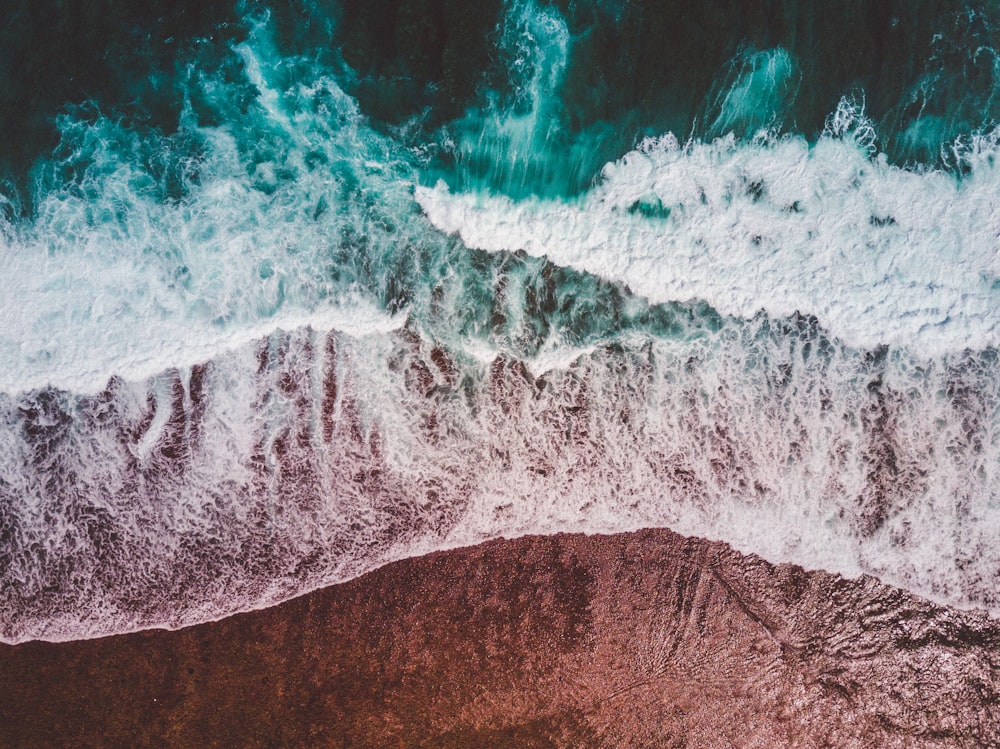 bird's eye view photo of coastline