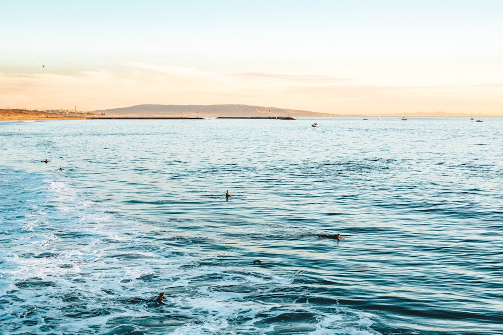 body of water during daytime