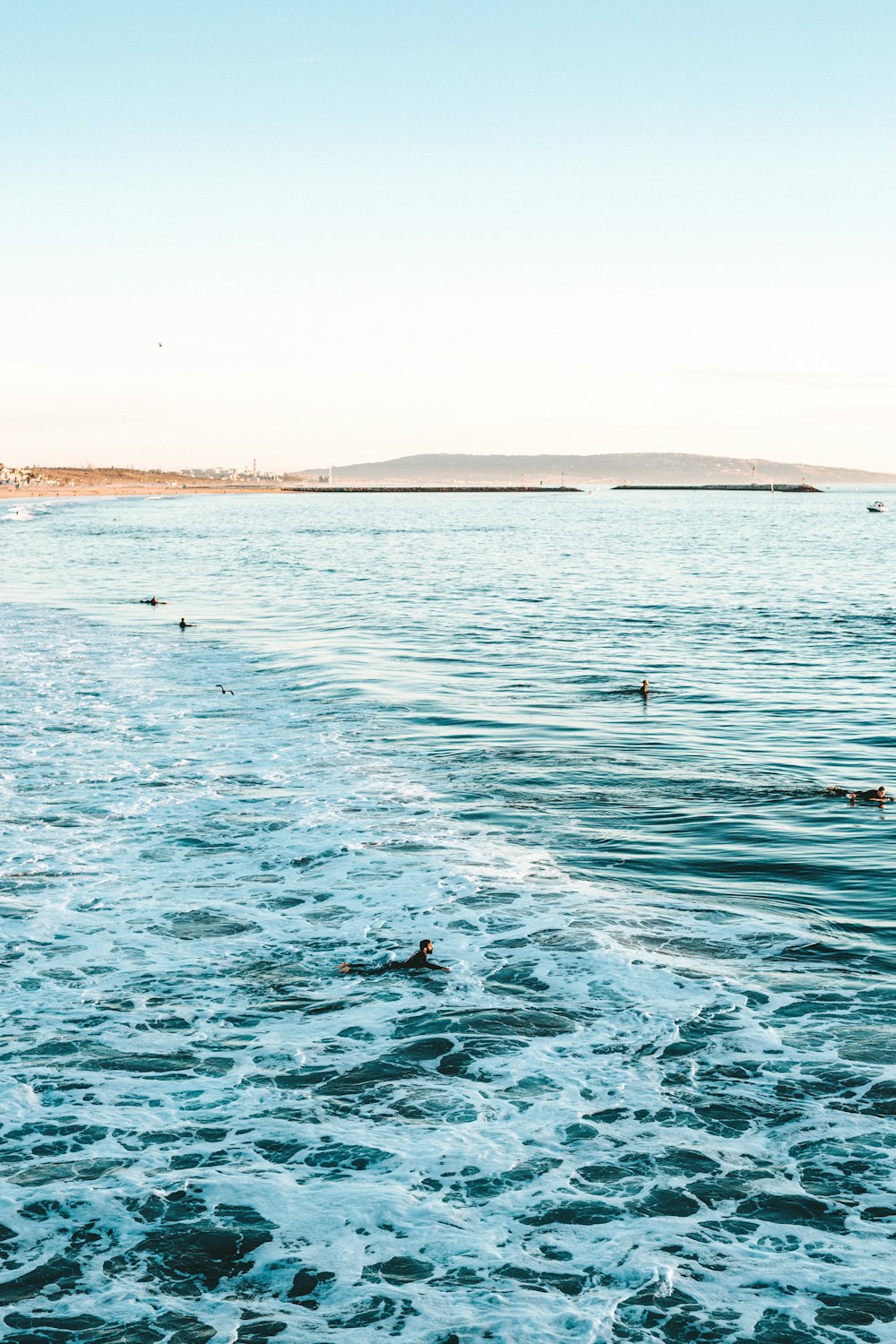 people swimming on the beach