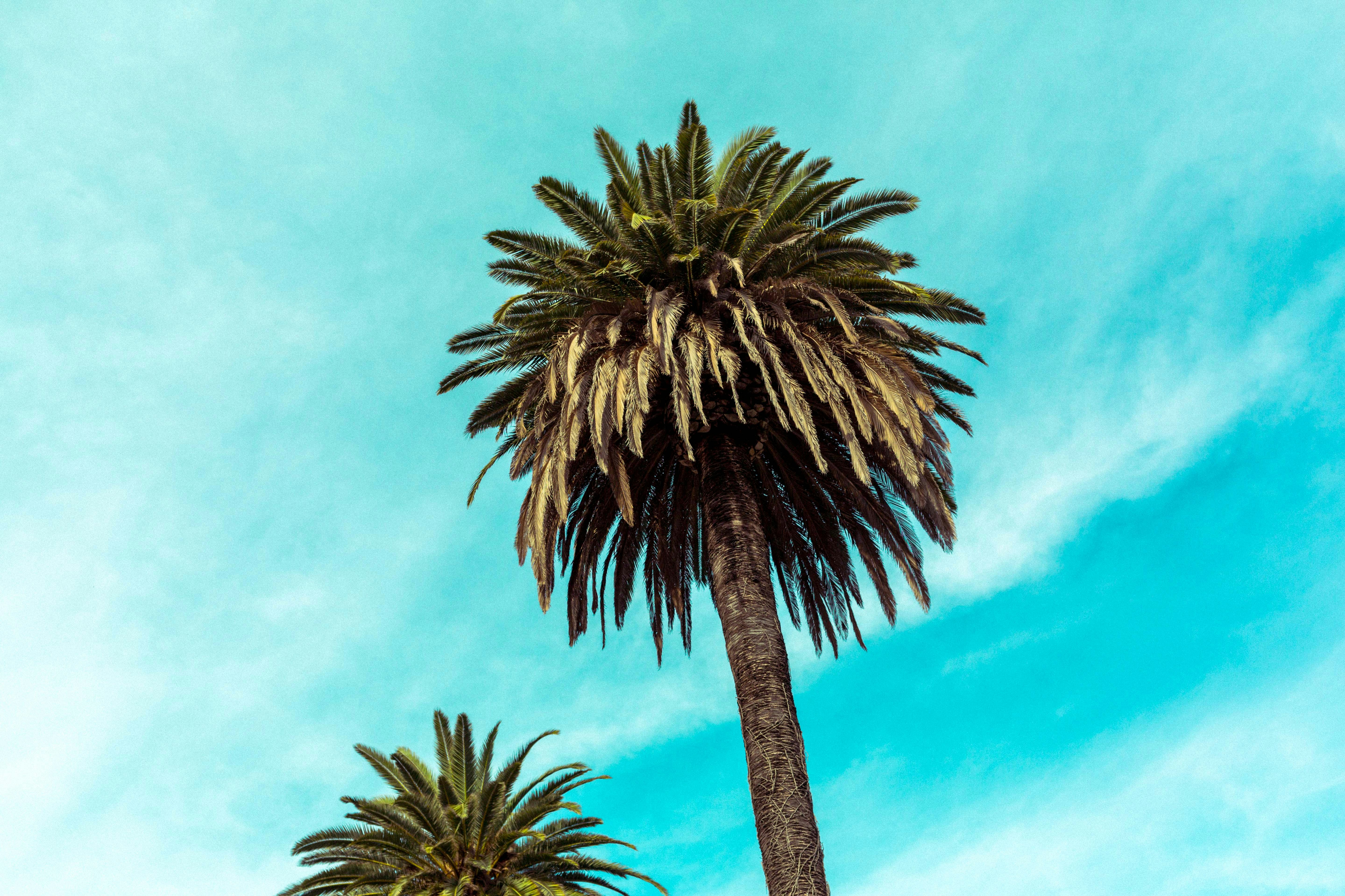 Fiat Panda: la più amata - e la più acquistata - dagli italiani