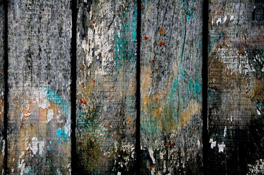 teal and black painted fence in Camperduin Netherlands