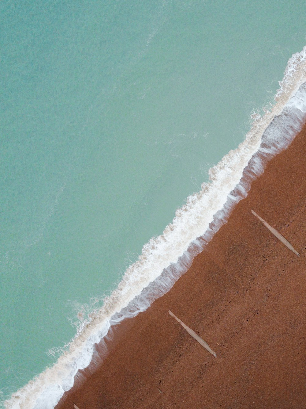 bird's eye view of seashore