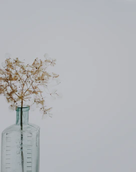 A soft beige background with a minimalist arrangement of delicate beauty bottles and a sprig of dried flowers.