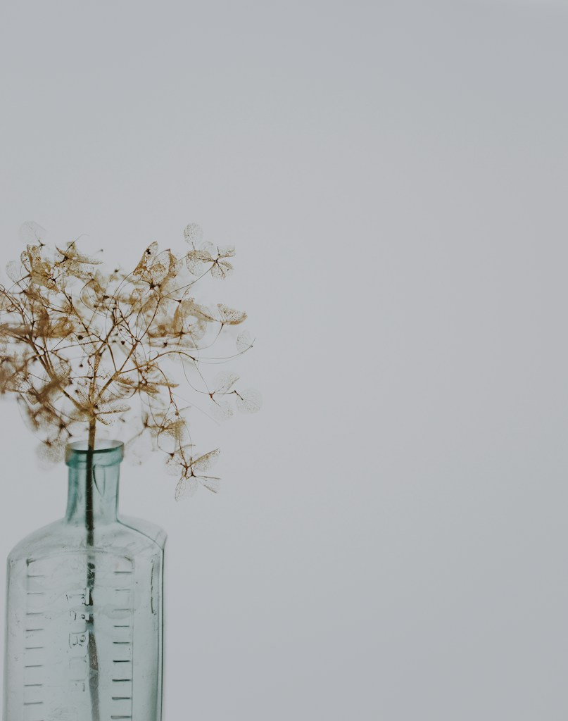 Dried Calendula Petals