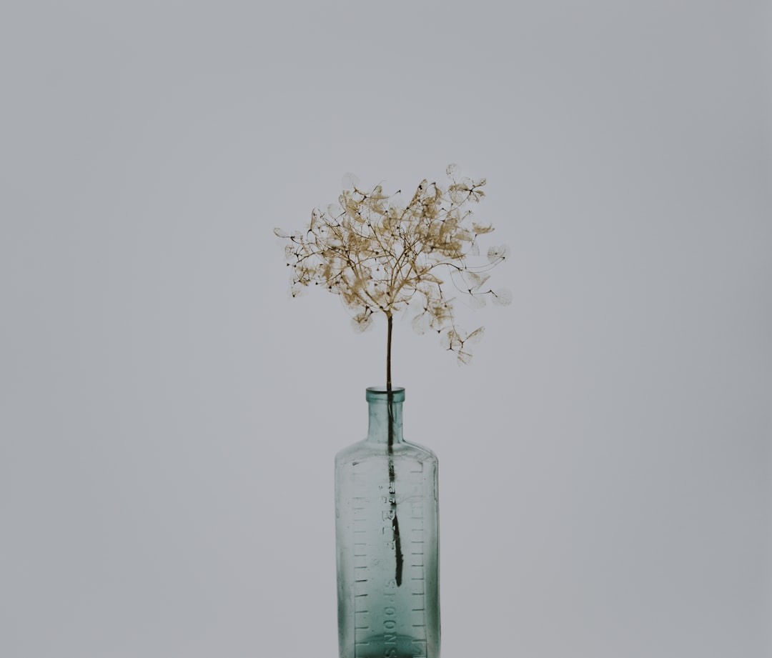 green leafed plant in clear glass bottle