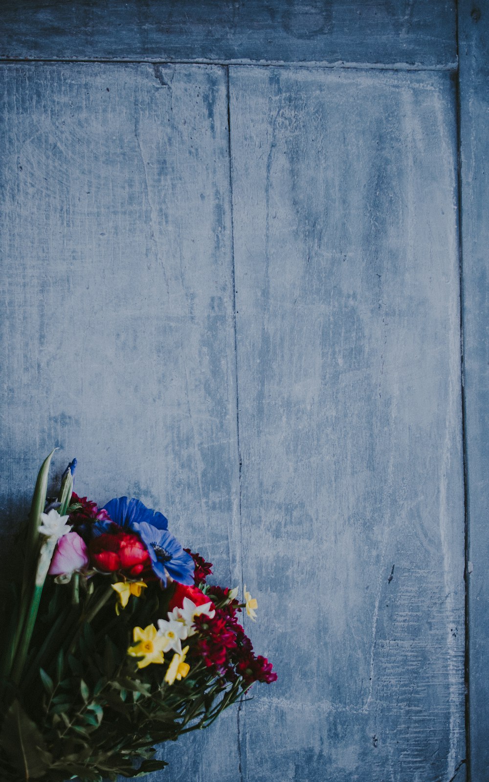 Foto de flores de pétalos azules, rojos y amarillos sobre un tablero gris