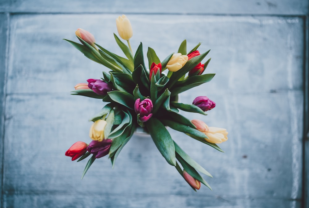Foto de primer plano de flores de tulipán de colores variados en jarrón